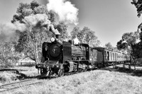 Locomotive K163